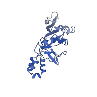 23249_7lar_C_v1-1
Cryo-EM structure of PCV2 Replicase bound to ssDNA