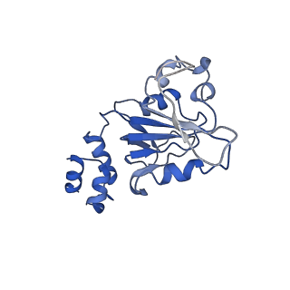 23249_7lar_D_v1-1
Cryo-EM structure of PCV2 Replicase bound to ssDNA