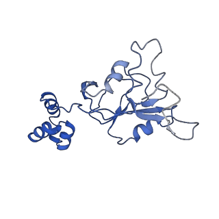 23249_7lar_E_v1-1
Cryo-EM structure of PCV2 Replicase bound to ssDNA