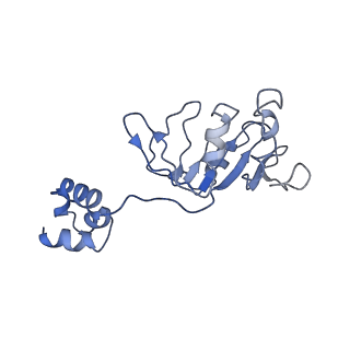 23249_7lar_F_v1-1
Cryo-EM structure of PCV2 Replicase bound to ssDNA