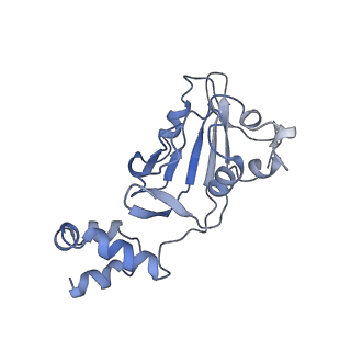 23250_7las_A_v1-1
Cryo-EM structure of PCV2 Replicase bound to ssDNA