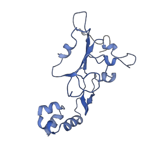 23250_7las_B_v1-1
Cryo-EM structure of PCV2 Replicase bound to ssDNA