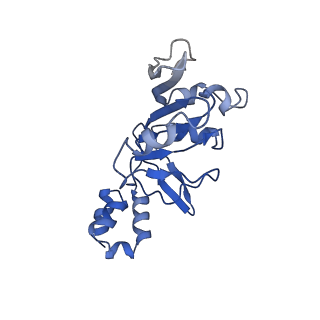 23250_7las_C_v1-1
Cryo-EM structure of PCV2 Replicase bound to ssDNA