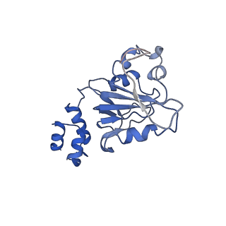 23250_7las_D_v1-1
Cryo-EM structure of PCV2 Replicase bound to ssDNA