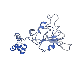 23250_7las_E_v1-1
Cryo-EM structure of PCV2 Replicase bound to ssDNA
