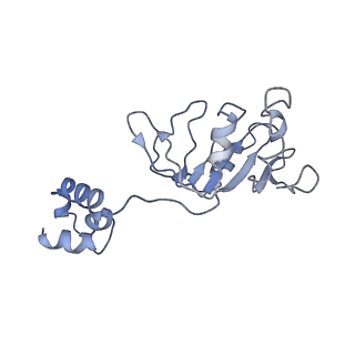 23250_7las_F_v1-1
Cryo-EM structure of PCV2 Replicase bound to ssDNA