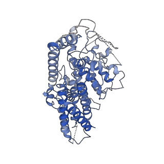 0868_6lba_B_v1-0
Cryo-EM structure of the AtMLKL2 tetramer