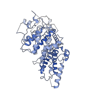 0868_6lba_C_v1-0
Cryo-EM structure of the AtMLKL2 tetramer