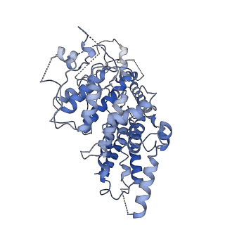 0868_6lba_C_v1-1
Cryo-EM structure of the AtMLKL2 tetramer