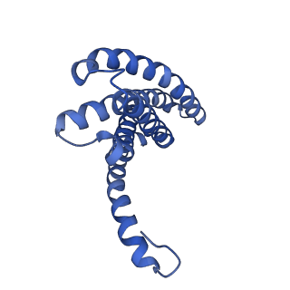 0869_6lbh_A_v1-1
Cryo-EM structure of the MgtE Mg2+ channel under Mg2+-free conditions