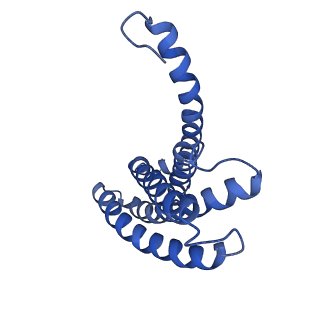 0869_6lbh_B_v1-1
Cryo-EM structure of the MgtE Mg2+ channel under Mg2+-free conditions