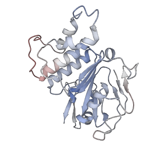 23251_7lb8_C_v1-1
Structure of a ferrichrome importer FhuCDB from E. coli