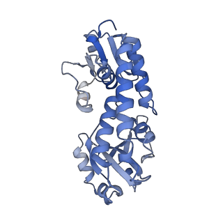 23251_7lb8_D_v1-1
Structure of a ferrichrome importer FhuCDB from E. coli
