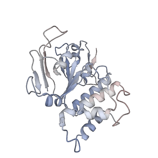 23251_7lb8_U_v1-1
Structure of a ferrichrome importer FhuCDB from E. coli