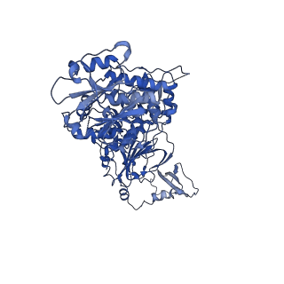 23253_7lbf_A_v1-1
CryoEM structure of the HCMV Trimer gHgLgO in complex with human Platelet-derived growth factor receptor alpha and neutralizing fabs 13H11 and MSL-109