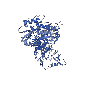 23254_7lbg_A_v1-1
CryoEM structure of the HCMV Trimer gHgLgO in complex with human Transforming growth factor beta receptor type 3 and neutralizing fabs 13H11 and MSL-109
