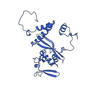 23254_7lbg_B_v1-1
CryoEM structure of the HCMV Trimer gHgLgO in complex with human Transforming growth factor beta receptor type 3 and neutralizing fabs 13H11 and MSL-109