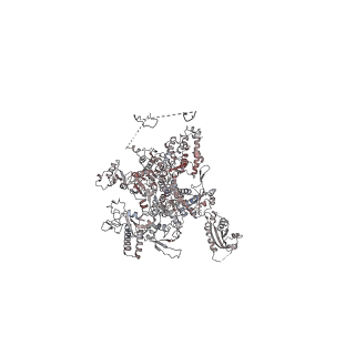 23255_7lbm_A_v1-1
Structure of the human Mediator-bound transcription pre-initiation complex