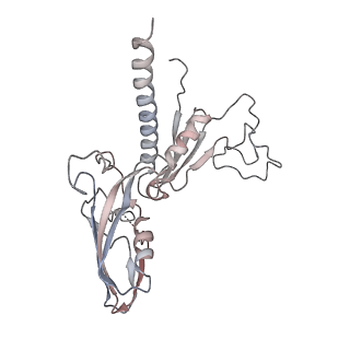23255_7lbm_C_v1-1
Structure of the human Mediator-bound transcription pre-initiation complex