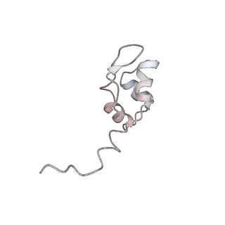 23255_7lbm_J_v1-1
Structure of the human Mediator-bound transcription pre-initiation complex