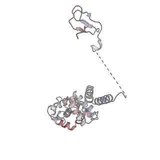 23255_7lbm_O_v1-1
Structure of the human Mediator-bound transcription pre-initiation complex