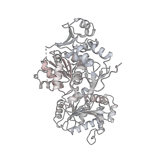 23255_7lbm_W_v1-1
Structure of the human Mediator-bound transcription pre-initiation complex