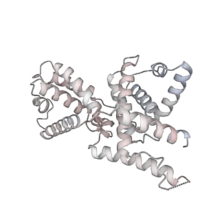 23255_7lbm_f_v1-1
Structure of the human Mediator-bound transcription pre-initiation complex
