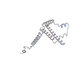 23255_7lbm_h_v1-1
Structure of the human Mediator-bound transcription pre-initiation complex