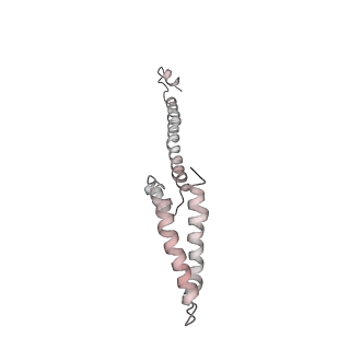 23255_7lbm_v_v1-1
Structure of the human Mediator-bound transcription pre-initiation complex