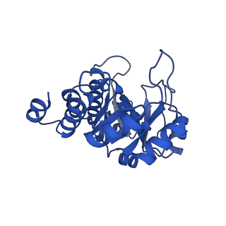 23263_7lb5_A_v1-1
Pyridoxal 5'-phosphate synthase-like subunit PDX1.2 (Arabidopsis thaliana)