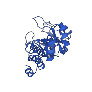 23263_7lb5_B_v1-1
Pyridoxal 5'-phosphate synthase-like subunit PDX1.2 (Arabidopsis thaliana)