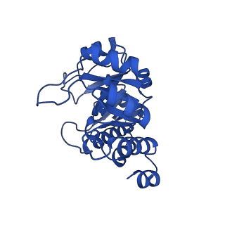 23263_7lb5_C_v1-1
Pyridoxal 5'-phosphate synthase-like subunit PDX1.2 (Arabidopsis thaliana)