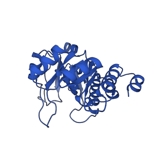 23263_7lb5_D_v1-1
Pyridoxal 5'-phosphate synthase-like subunit PDX1.2 (Arabidopsis thaliana)