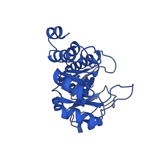 23263_7lb5_F_v1-1
Pyridoxal 5'-phosphate synthase-like subunit PDX1.2 (Arabidopsis thaliana)