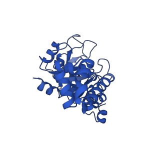 23263_7lb5_G_v1-1
Pyridoxal 5'-phosphate synthase-like subunit PDX1.2 (Arabidopsis thaliana)