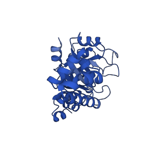 23263_7lb5_H_v1-1
Pyridoxal 5'-phosphate synthase-like subunit PDX1.2 (Arabidopsis thaliana)