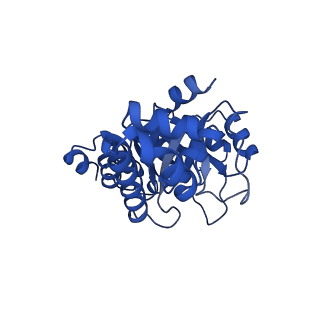 23263_7lb5_I_v1-1
Pyridoxal 5'-phosphate synthase-like subunit PDX1.2 (Arabidopsis thaliana)
