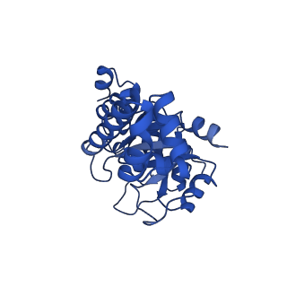 23263_7lb5_J_v1-1
Pyridoxal 5'-phosphate synthase-like subunit PDX1.2 (Arabidopsis thaliana)