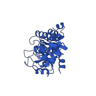 23263_7lb5_K_v1-1
Pyridoxal 5'-phosphate synthase-like subunit PDX1.2 (Arabidopsis thaliana)