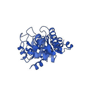 23263_7lb5_L_v1-1
Pyridoxal 5'-phosphate synthase-like subunit PDX1.2 (Arabidopsis thaliana)