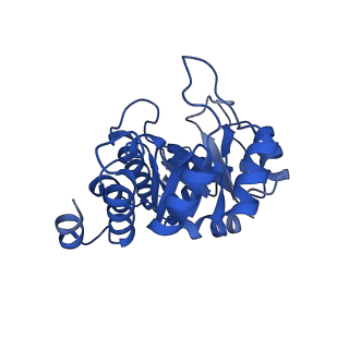 23264_7lb6_A_v1-1
PDX1.2/PDX1.3 co-expression complex
