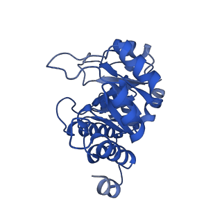 23264_7lb6_B_v1-1
PDX1.2/PDX1.3 co-expression complex