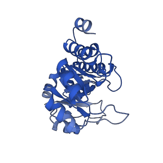 23264_7lb6_E_v1-1
PDX1.2/PDX1.3 co-expression complex