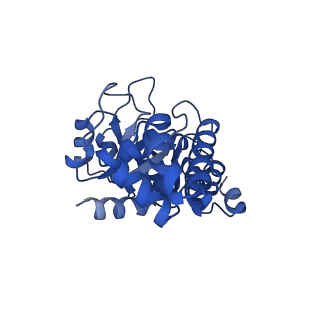 23264_7lb6_G_v1-1
PDX1.2/PDX1.3 co-expression complex