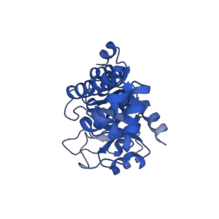 23264_7lb6_K_v1-1
PDX1.2/PDX1.3 co-expression complex
