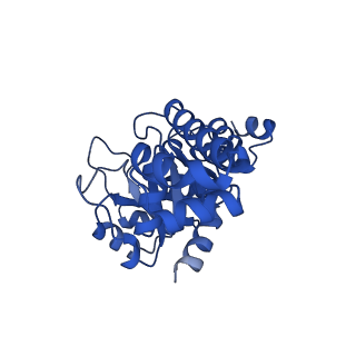 23264_7lb6_L_v1-1
PDX1.2/PDX1.3 co-expression complex