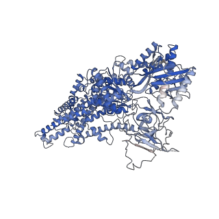 0872_6lcp_A_v1-1
Cryo-EM structure of Dnf1 from Chaetomium thermophilum in the E2P state