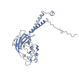 0872_6lcp_B_v1-1
Cryo-EM structure of Dnf1 from Chaetomium thermophilum in the E2P state