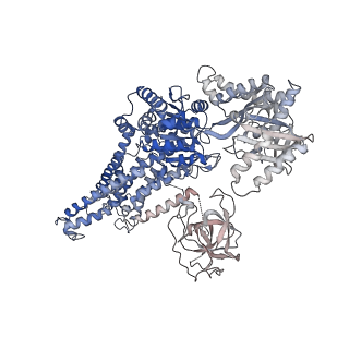 0873_6lcr_A_v1-1
Cryo-EM structure of Dnf1 from Chaetomium thermophilum in the E1-ATP state