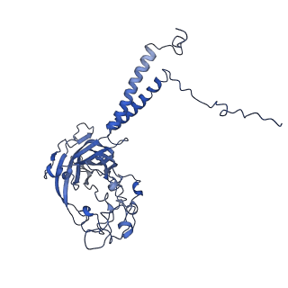0873_6lcr_B_v1-1
Cryo-EM structure of Dnf1 from Chaetomium thermophilum in the E1-ATP state